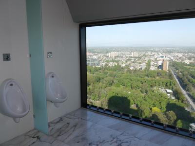 Sofitel toilet view