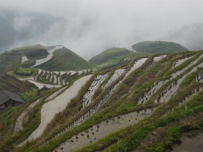 Dragon's Backbone rice terraces near Ping'an