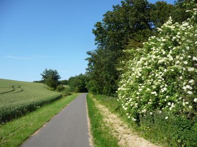 Rügen cycle route