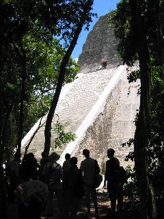 Temple 3 shining through trees in Tikal,
	Guatemala